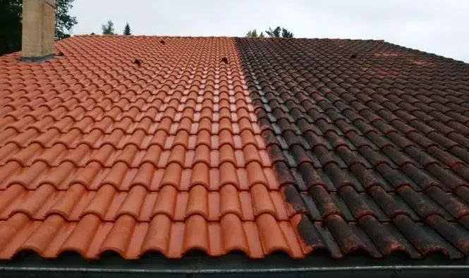 Démoussage d'une toiture par l'équipe de couvreurs Toitures Lux Welter à Dudelange